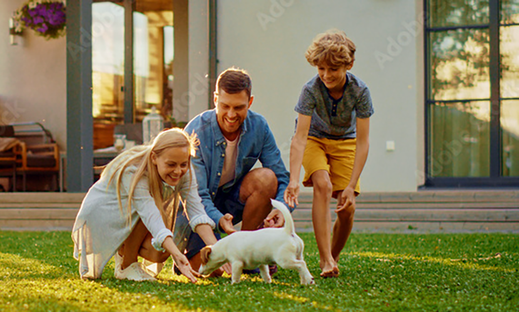 pest and tick control